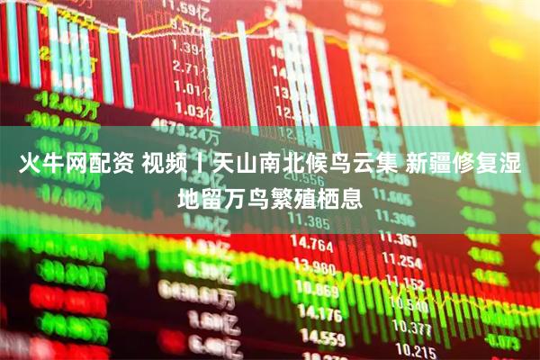 火牛网配资 视频丨天山南北候鸟云集 新疆修复湿地留万鸟繁殖栖息
